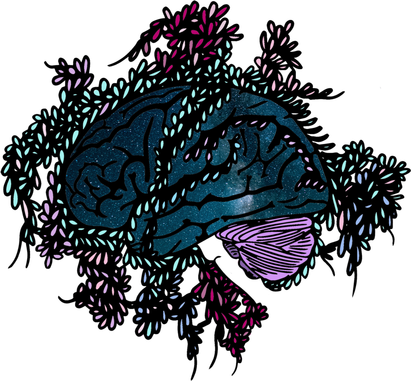 Hormonal Imbalances - Brain