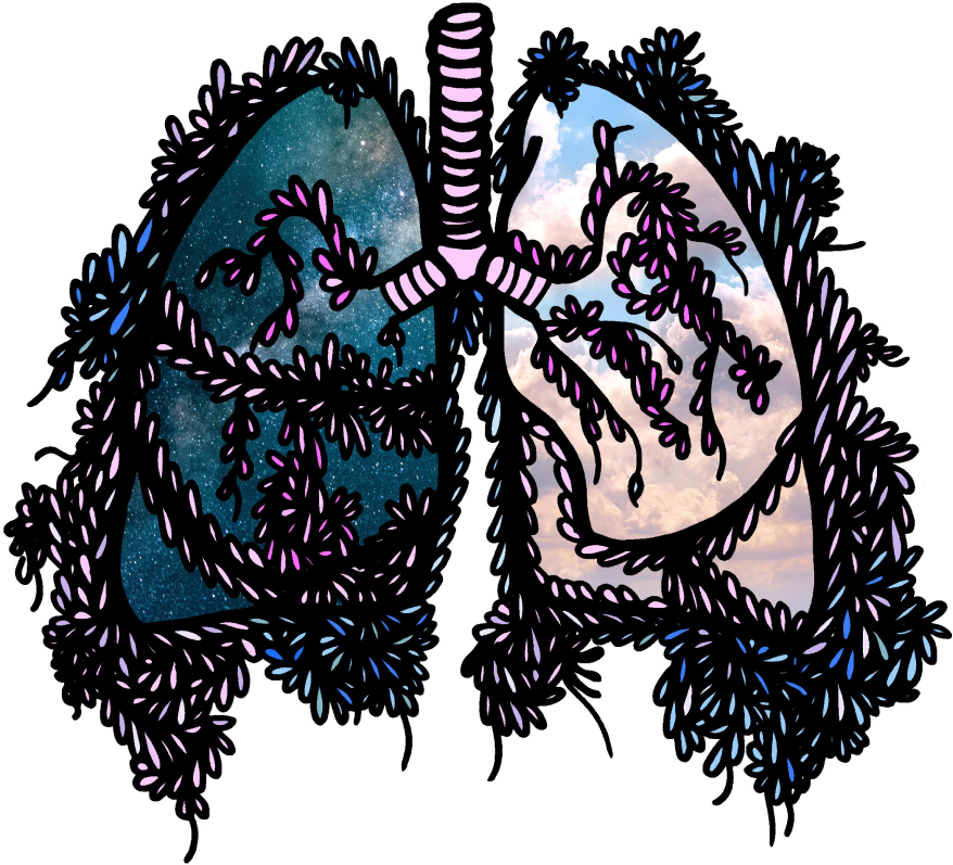 Lungs