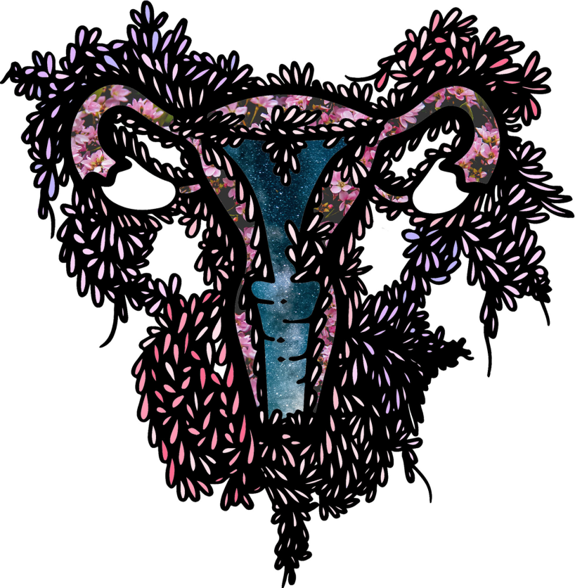 Uterus